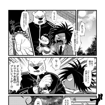 ヒマラヤ水晶のパワーストーン