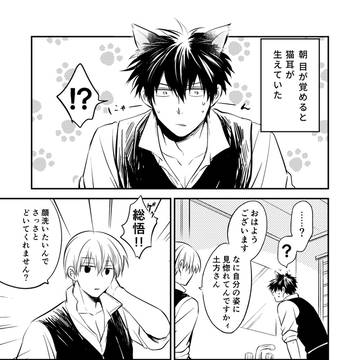 【銀土】猫耳副長まんが