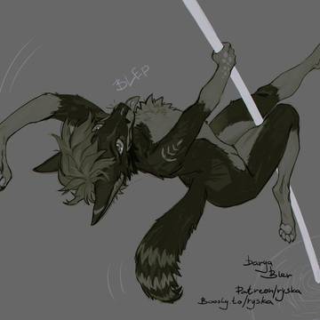 Request for patron