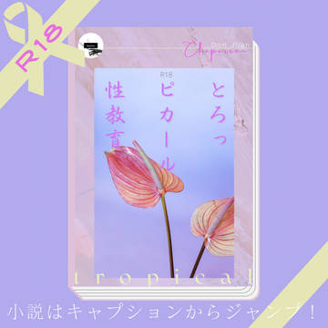 【年齢操作kkir】小説の表紙【うちら最高にトロピカルな夏】