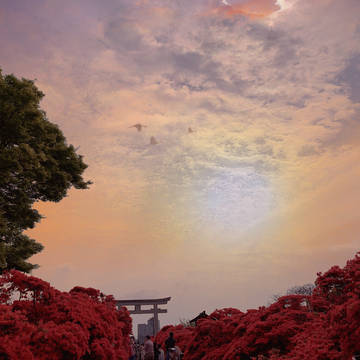 躑躅