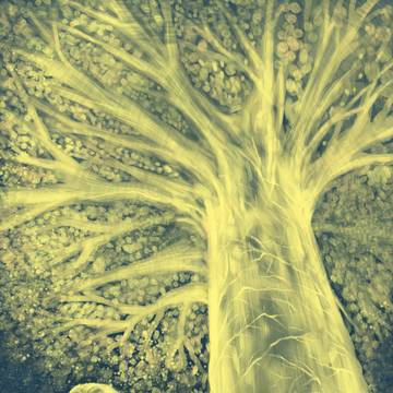 Erdtree