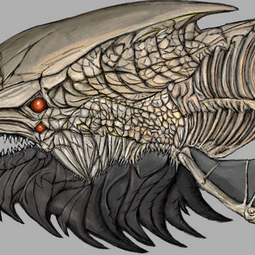 複骨魚