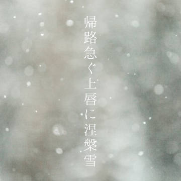 帰路急ぐ上唇に涅槃雪