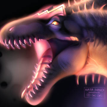 ○Dino○