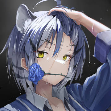 イケメンマルタタイガーさん