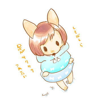 ポメみけつめ