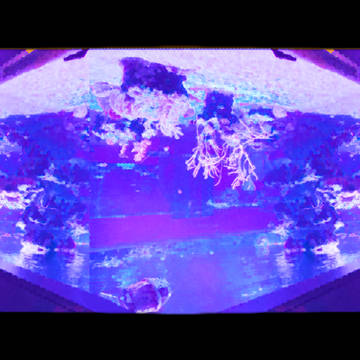 死l人舞l踏会