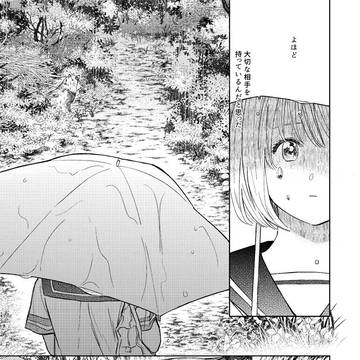 たぬ恋