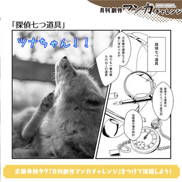 萩原さん家のナレギツネ『ツナちゃん』