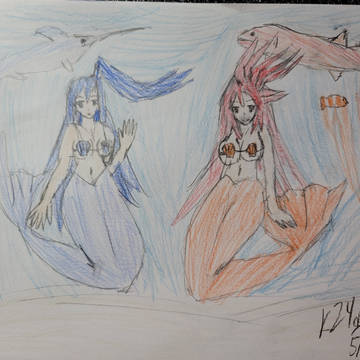 Zwei Fin