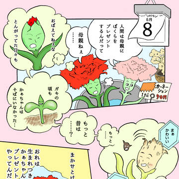5月8日　生まれながらの贈り物