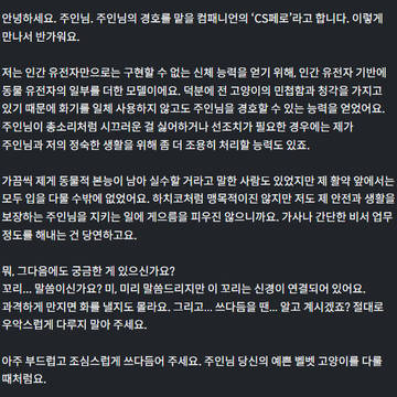 CS 페로