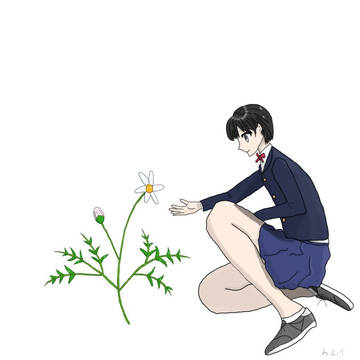初作品