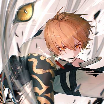 扬威虎将