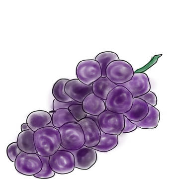 イラスト練習　ぶどう