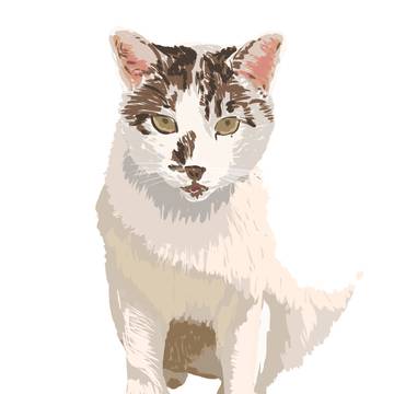 猫
