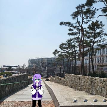 大学生の夜鈴