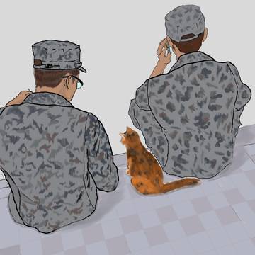 猫と和解した自衛官