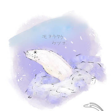 描いたウツボまとめ