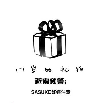 《17岁的礼物》