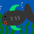 okuu fish