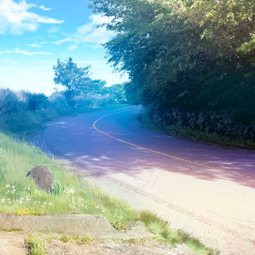 道