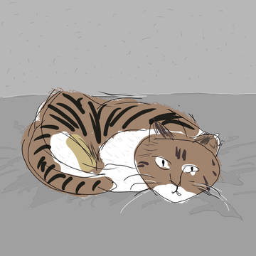 ねこ