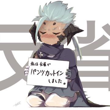 ff14雑多