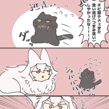 猫いちログ2