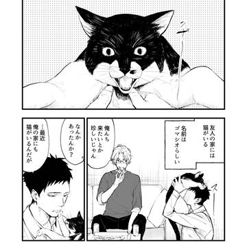 友人の家には猫がいる