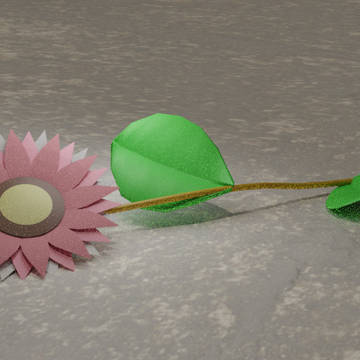 ローダンセのお花