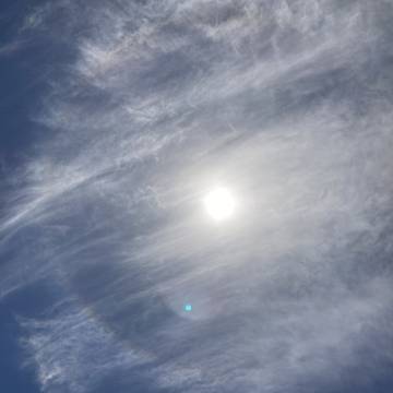 太阳ᕙ(⇀‸↼‵‵)ᕗ