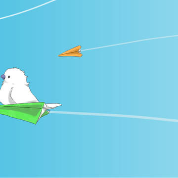 鳥まとめ3