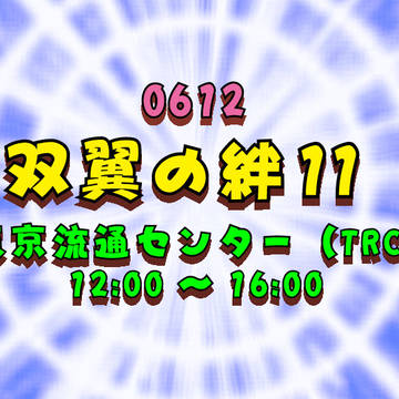 0612*双翼の絆 11