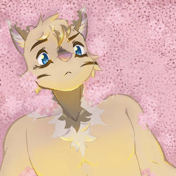 【 🌸🌸🌸 】