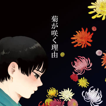再録「菊が咲く理由」