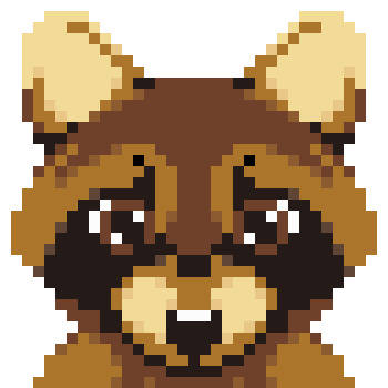 raccoon