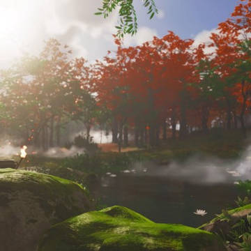 The Day at the Pond