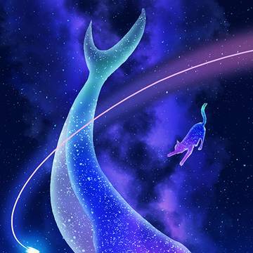 仰望星空的喵