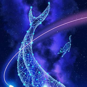 仰望星空的喵