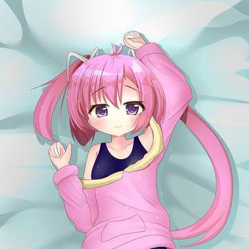 抱き枕っぽいの
