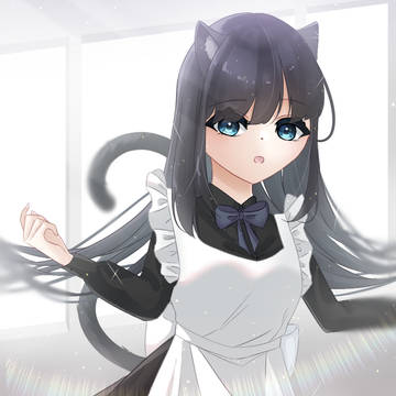 🐈‍⬛🐾