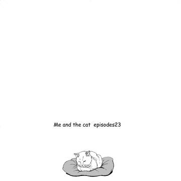 Me and the cat  episodes23