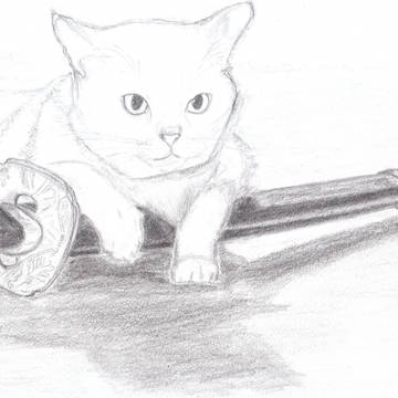 Tama