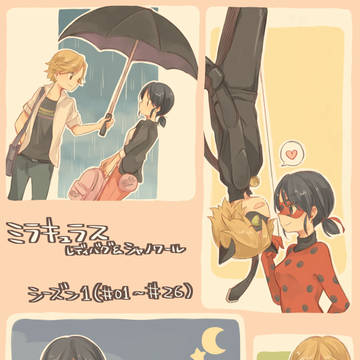 ミラキュラスS1 LOG
