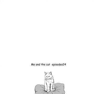 Me and the cat  episodes24