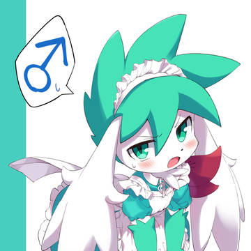 いろいろ詰め