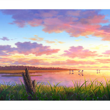湿原_夕日