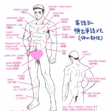 英語BL頻出単語メモ(体の部位)